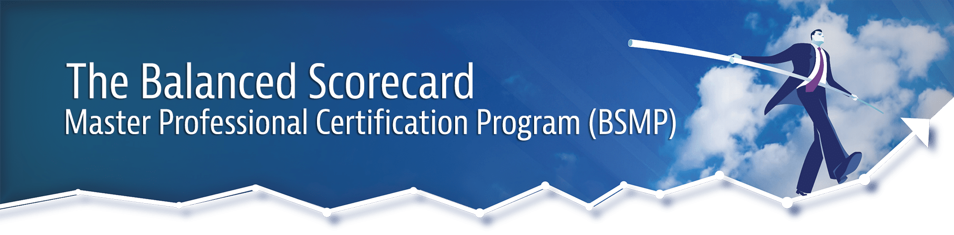 Balanced Scorecard Master Professional Certification