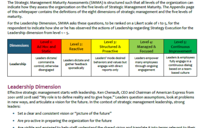 Strategy Management Maturity Deep Dive: Leadership